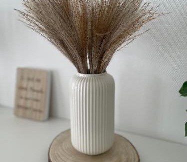 Nordhorn Apartment | Das Vechtedomizil - Stilvolle Erdgeschosswohnung mit Sauna, Whirlpool