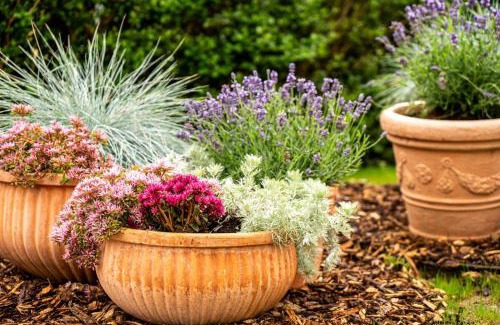 Ronnau Apartment | Dat Krautacker Huus