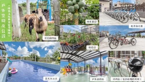 Wujie House | David Farm