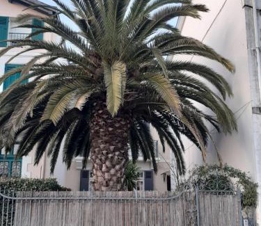 Dax Apartment | Dax à pied! T1 2 étoiles centre ville balcon