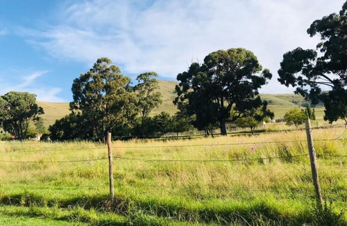 Matatiele Bed & Breakfast | DAX BnB