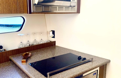 Benner Boat Rental | Day or Night charters! Seas the Moment! 42' Charter Yacht- 2 beds 2 baths
