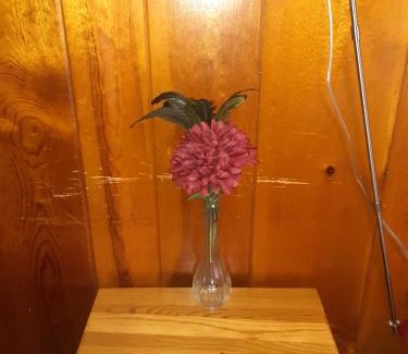 East Glacier Park Village Hotel | DB Botique and Cabins