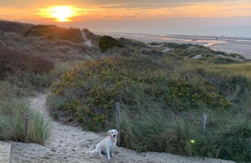 De Haan Apartment | De Haan - Apartment Silverbeach