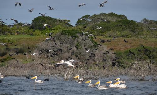 Overberg Resort | De Hoop Collection - Vlei Cottages