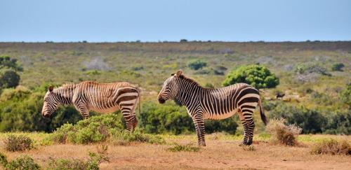 Overberg Resort | De Hoop Collection - Vlei Cottages