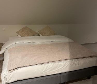 Tongerlo Bed & Breakfast | De Kempische Hoef