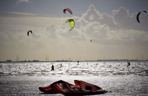 Scherpenisse Apartment | De Nieuwe Stal