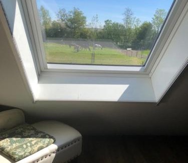 Dongjum Bed & Breakfast | De Stjelp