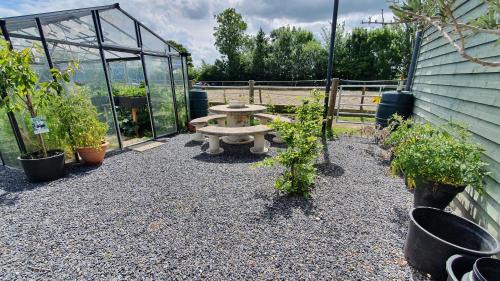 Dongjum Bed & Breakfast | De Stjelp