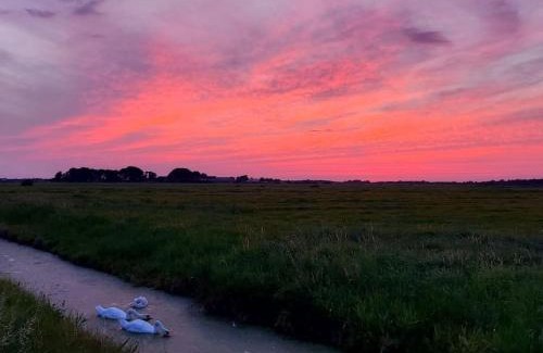 Municipality of Smallingerland House | De Veenweide