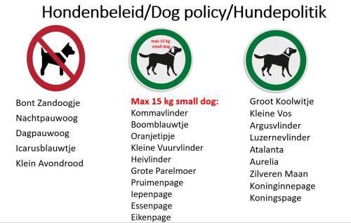 Nes Apartment | De Vlindertuin