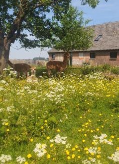 Alphen aan den Rijn House | De Wagenloods