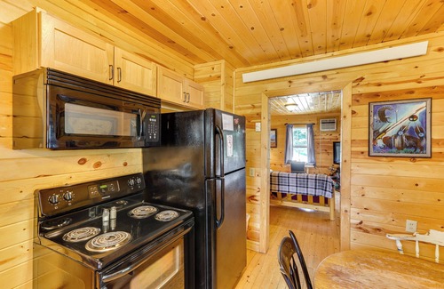 Deadwood Cabin | Deadwood 'Wolf Cabin' w/Fire Pit & Grill