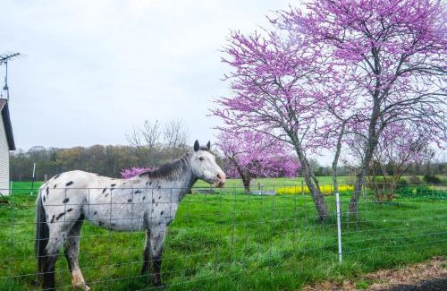 Bealeton House | Deck and Pasture Views! Bealeton Farmhouse Escape