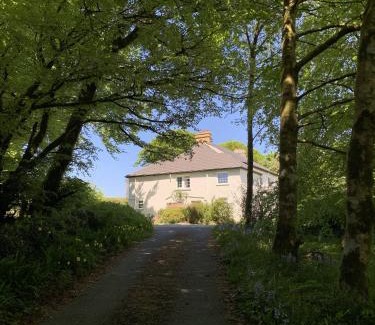 Dartmoor Forest Apartment | Delightful Dartmoor Apartment