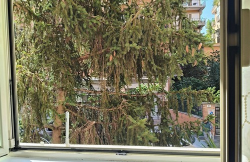 Aurelio Condo | Delightful Rome apartment -Vatican 9' from the Battistini metro