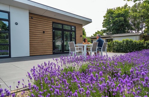 Municipality of Noordwijk House | Deluxe 4 people Sauna