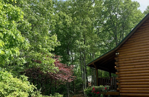 Dahlonega House | Deluxe Guest Room - Barefoot Hills