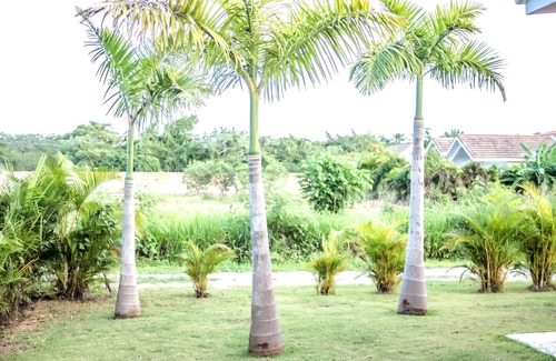 Boca Chica Villa | Deluxe King Room In Villa With Pool Near Beaches