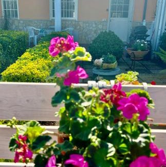 Fondi House | Demetra Apartment Sperlonga