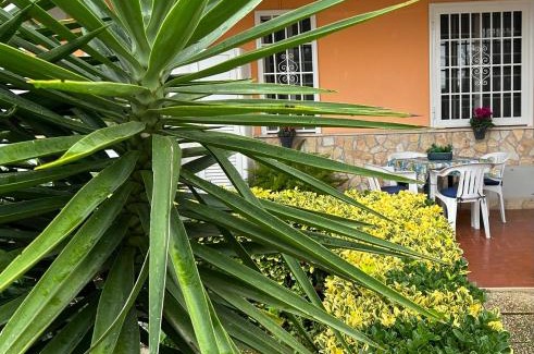 Fondi House | Demetra Apartment Sperlonga