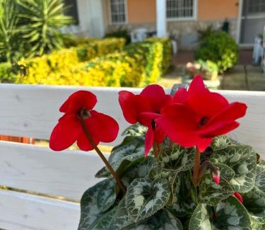 Fondi House | Demetra Apartment Sperlonga