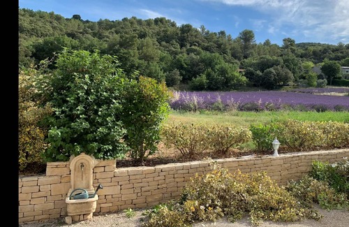 Oraison Villa | Demeure Provençale au Coeur des Oliviers et des Champs de Lavande