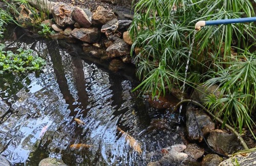 San Felipe del Agua Apartment | Departamento en medio de la naturaleza, ¡a solo 10 minutos del centro de Oaxaca!