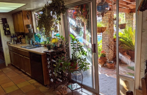 Thunderbird Desert Estates House | Desert Oasis- North Scottsdale Home - Massive Backyard Gardens/Patios/Pool