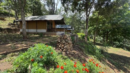 Devikolam Other | Deshadan Jungle