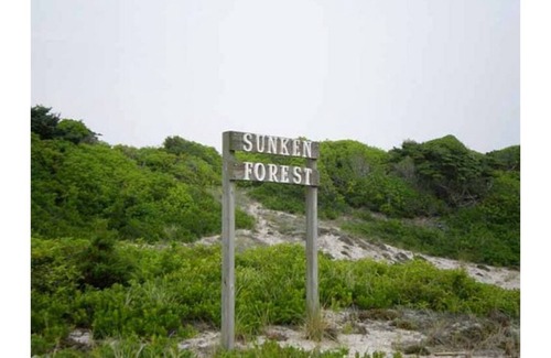 Fire Island Pines House | Designer Industrial Beach House