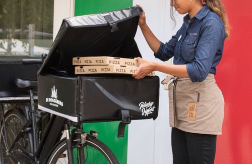 Appelscha House | Detached bungalow with fireplace, in Appelscha