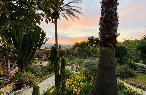 Son Macia House | Detached guest house in absolute quiet location in Son Macia