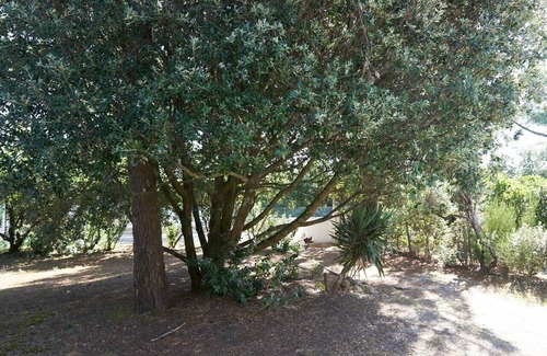 Vendays-Montalivet House | Detached house on 800m2 enclosed plot with 2 east/west terraces.