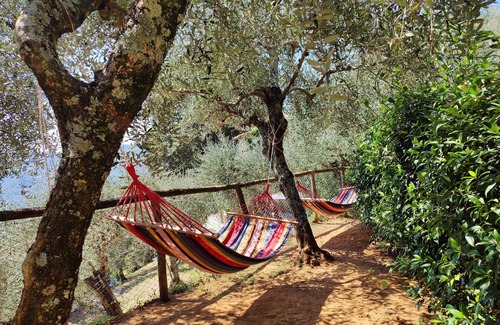 Camaiore House | Detached house in nature suitable for families (2 double bedrooms) and dogs