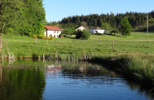 Tendon House | Detached house in the heart of nature, 20 minutes from Gérardmer, with sauna