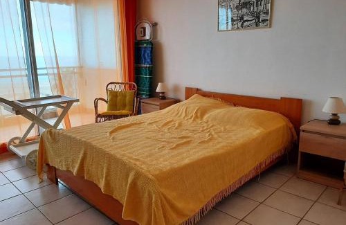 Le Port Apartment | Deux-pièces en bord de mer pour 4 personnes - FR-1-750-114