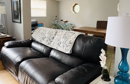 St. Petersburg - Clearwater House | Dex's St. Pete House- Pet Friendly Fenced-In Yard, St. Petersburg, FL