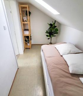 Freilassing Apartment | DG R- Helle 2-Zimmer Wohnung nähe Salzburg
