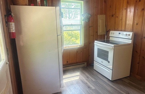 Cassopolis Cottage | Diamond Lake Island Cabin