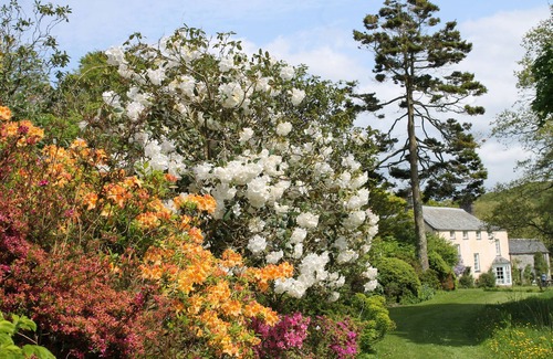 Blisland Cottage | DICK COTTAGE, pet friendly, country holiday cottage in Blisland