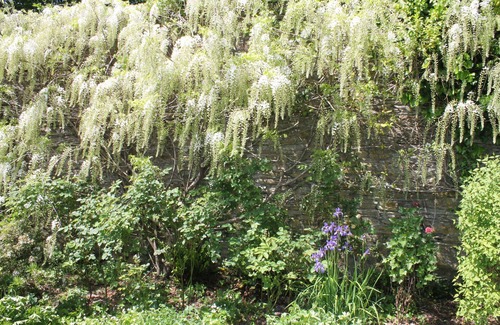 Blisland Cottage | DICK COTTAGE, pet friendly, country holiday cottage in Blisland