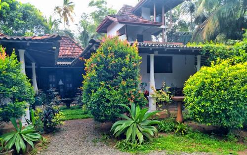 Dickwella Villa | Dickwella Green Villa