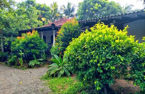 Dickwella Villa | Dickwella Green Villa