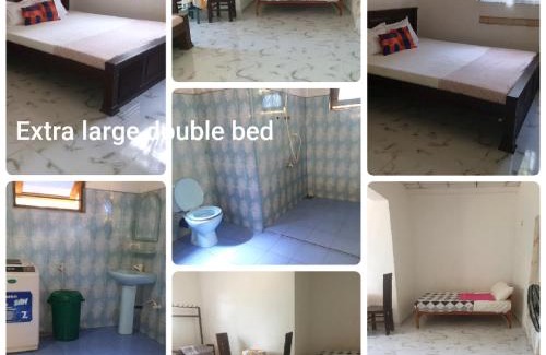 Mirissa Bed & Breakfast | Dillenia canopy