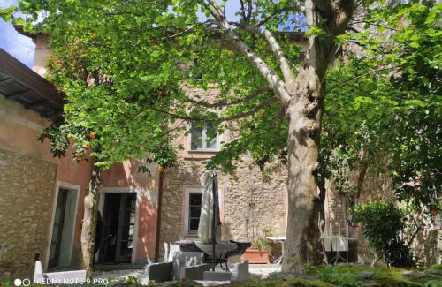 Valdicastello Carducci Bed & Breakfast | Dimora Carducci