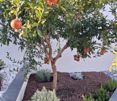 Angri Apartment | Dimora da Anna tra Amalfi e Sorrento