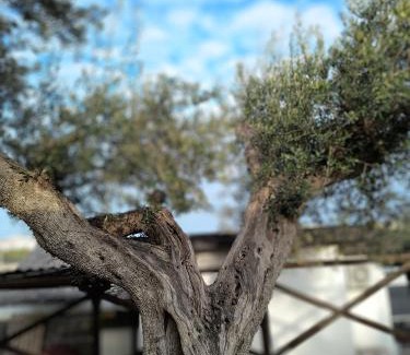 Castellana Grotte House | Dimora del Fragno