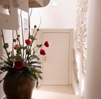 Andria Bed & Breakfast | Dimora Delle Vigne